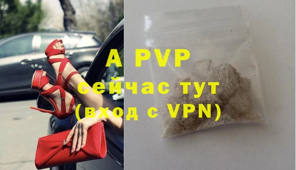 дмт Ростов