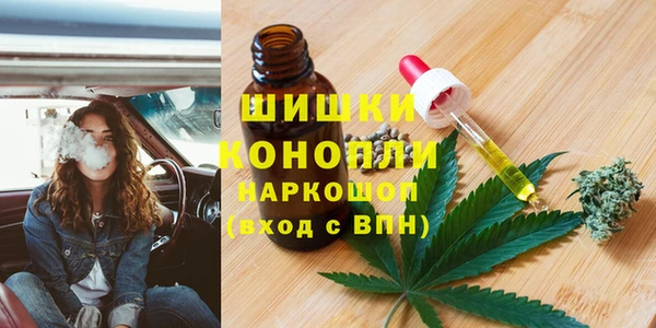 мдпв Россошь
